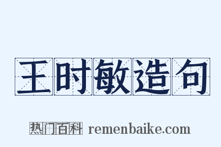 王时敏造句是什么意思的图片